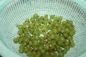 Agrastai
