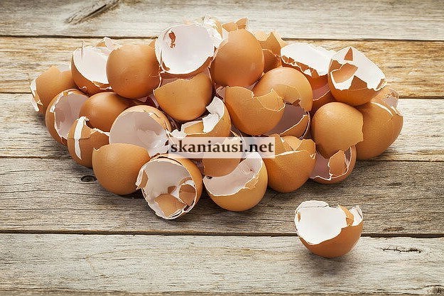 Kiaušinių lukštai